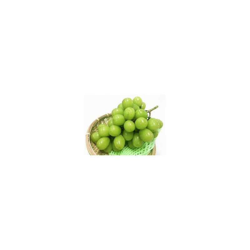 SHINE MUSCAT GRAPE (KOREA)
