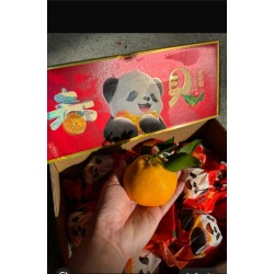 CHUN JIAN PAPA MANDARIN XL