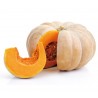 ORG PUMPKIN 500g+-