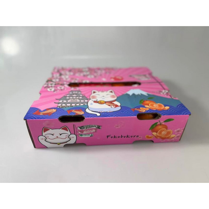 SAKURA MIKAN (SINGLE LAYER)