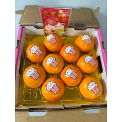 SAKURA MIKAN (SINGLE LAYER)