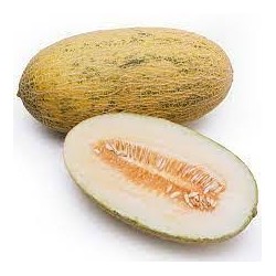 CHINA HAMI MELON