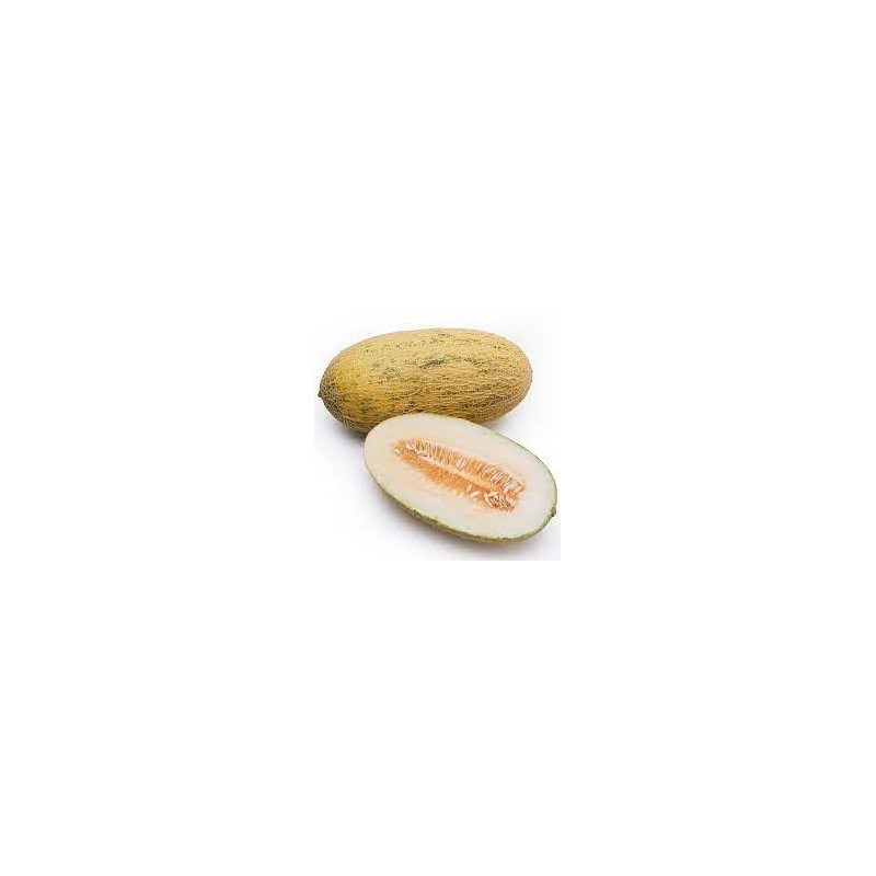 CHINA HAMI MELON