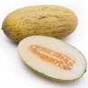 CHINA HAMI MELON