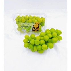 SHINE MUSCAT GRAPE 500G (SPU)