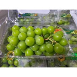 SHINE MUSCAT GRAPE 500G (SPU)