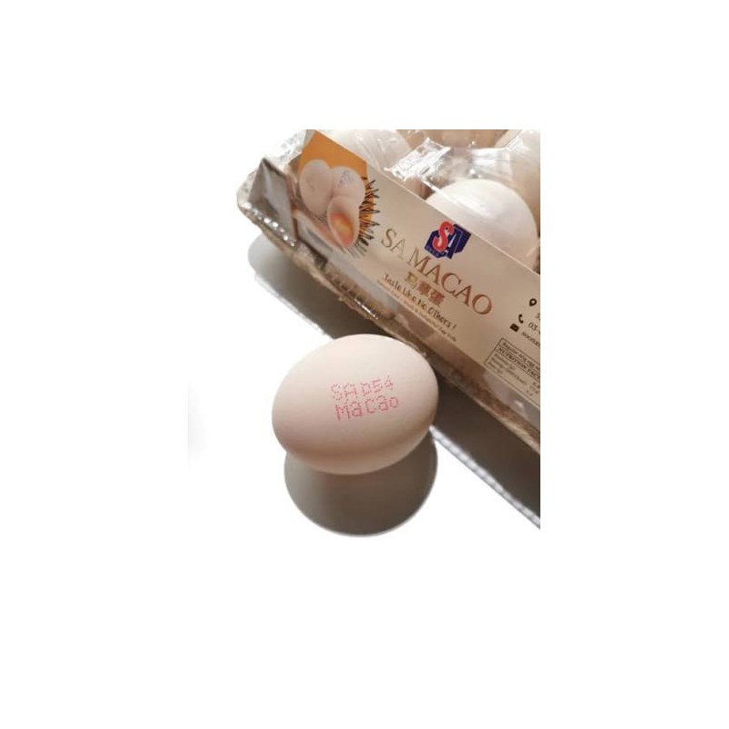 SA MACAO EGG 3OS (A) (SPU)