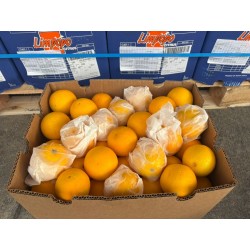 VALENCIA ORANGE 88PCS (SPU)