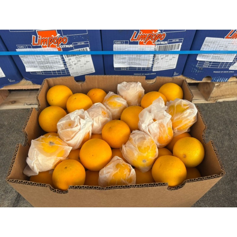 VALENCIA ORANGE 88PCS (SPU)