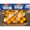 VALENCIA ORANGE 88PCS (SPU)