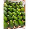 AUS SHAPED AVOCADO 28/30PCS (SPU)
