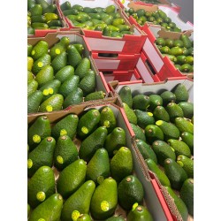 AUS SHAPED AVOCADO 28/30PCS (SPU)