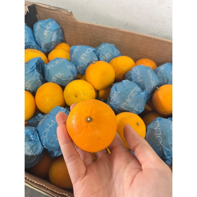 SA NOVA MANDARIN (SPU)
