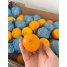 SA NOVA MANDARIN (SPU)