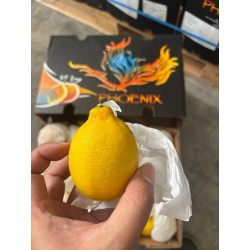 SA LEMON 88PCS (SPU)