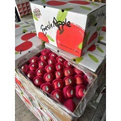 CN FUJI APPLE 64PCS (SPU)