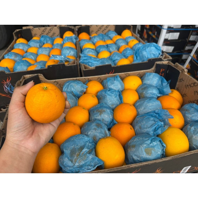SA NAVEL ORANGE 55PCS (SPU)