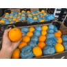 SA NAVEL ORANGE 55PCS (SPU)