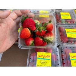 USA STRAWBERRY 1X12 (SPU)