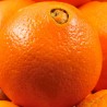 AUSTRALIA SUNKIST (4PC)
