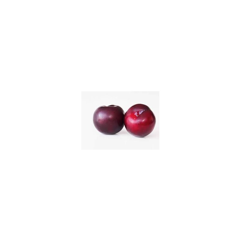 BLACK PLUM