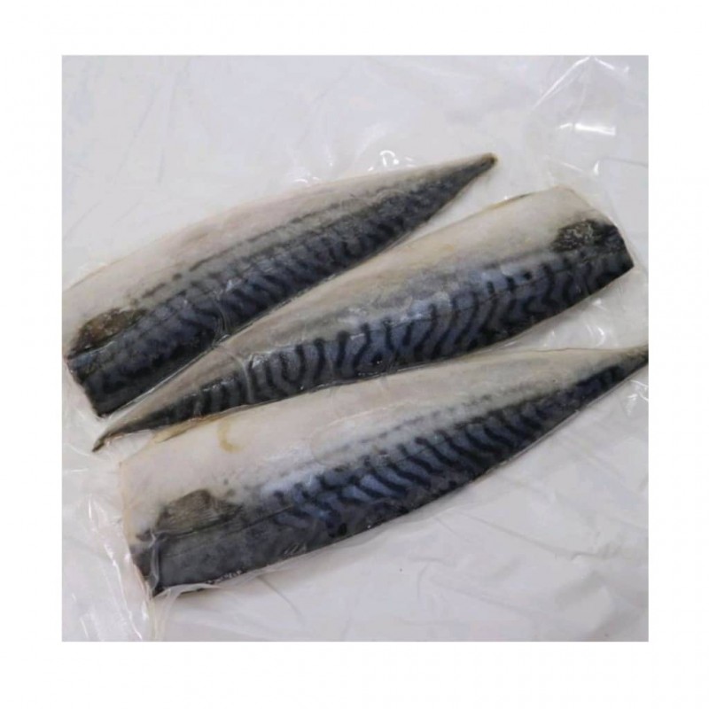SABA MACKEREL FISH