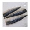 SABA MACKEREL FISH