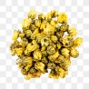 GOLDEN CHRYSANTHEMUM