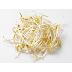 ORGANIC BEAN SPROUT 200G+-