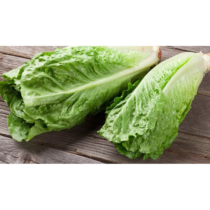 cos lettuce 260g+-