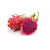 RED DRAGON FRUITS