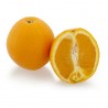 NAVEL ORANGE XL (3PCS)