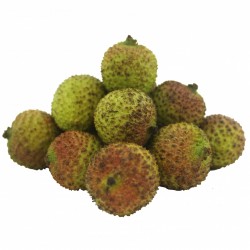CHINA LYCHEE (FEI ZI XIAO)...