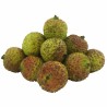 CHINA LYCHEE (FEI ZI XIAO) 500GM+-