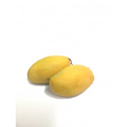 FRESH MANGOES 1KG+-