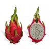 WHITE DRAGON FRUIT