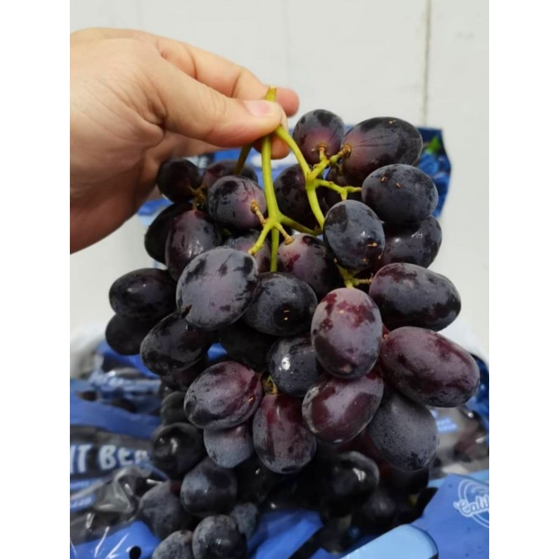 BLACK SEEDLESS GRAPE 1KG