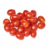 ORGANIC CHERRY TOMATO