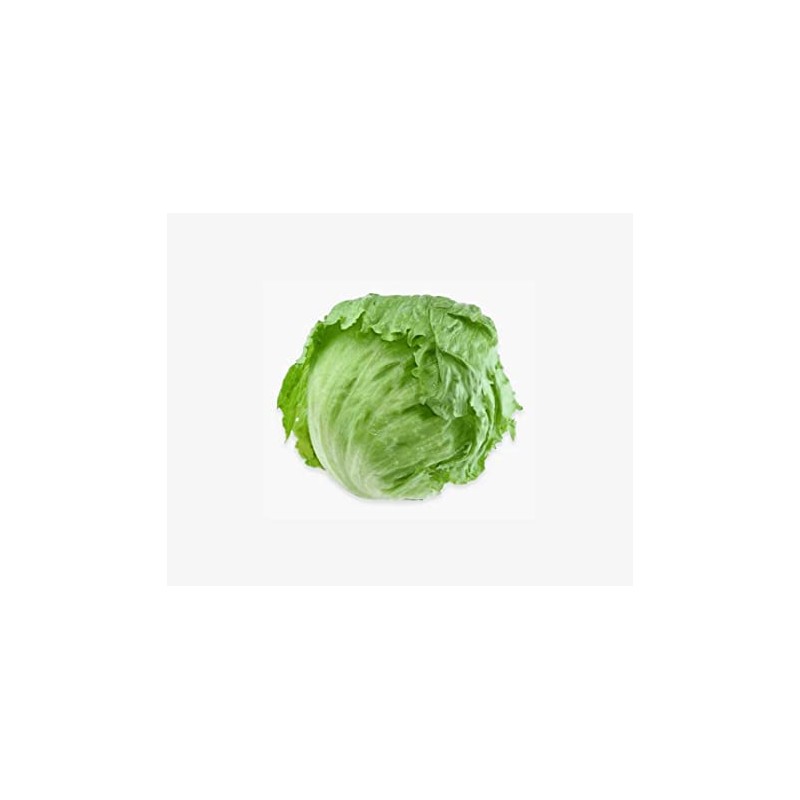 ORG HEAD LETTUCE