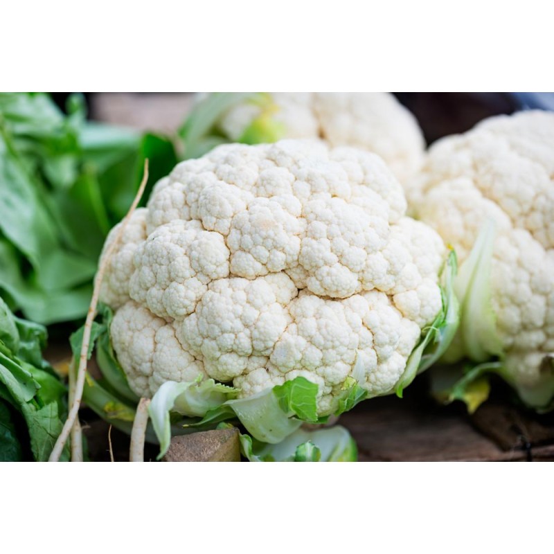 CAULIFLOWER