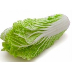 CHINESE CABBAGE