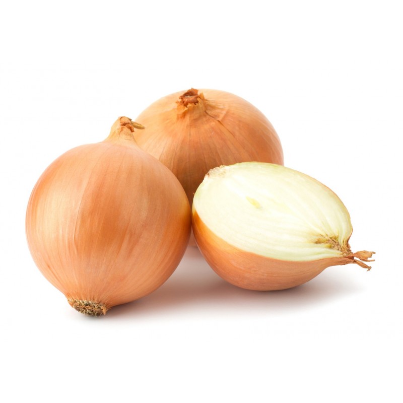 YELLOW ONION 750G+-